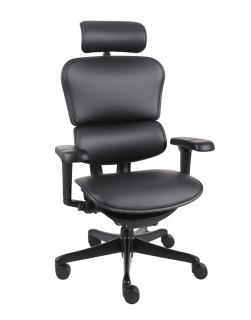 Fotel ergonomiczny Ergohuman 2 Ultra LE01, do biura, obrotowy, skórzany, gamingowy