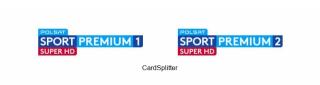 Pakiet 2 kanałów Polsat Sport Premium + 4 kanałów VoD PSP na 12 / 24 m