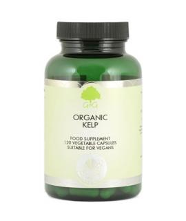 Organic Kelp (120 kaps) - GG