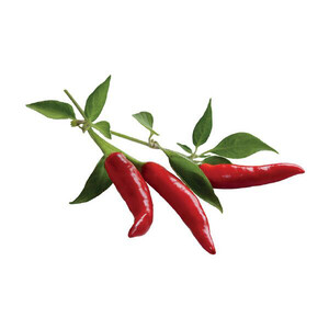 Papryka Chili - Kapsułka Click and Grow do Smart Garden