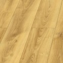 Panele Platinium Bella Aqua Block 24h Dąb Coletta D40624 AC5 10mm DARMOWA DOSTAWA