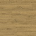 Panele podłogowe Classic CLM5792 Dąb miodowy brązowy AC4/8mm DARMOWA DOSTAWA