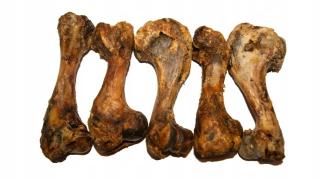 Kość Wieprzowa ok.18-20cm - 5 szt