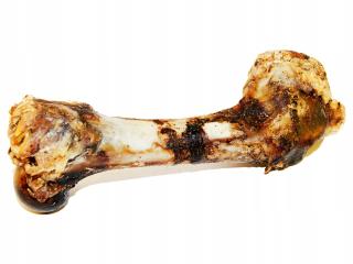 Kość Wieprzowaok.18-20cm
