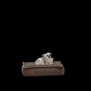 Legowisko dla psa SACKit Dog bed Mini Brown