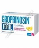 Groprinosin Forte gran.dosporz.roztw.30szt