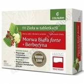 Morwa Biała forte + Berberyna tabl. 60tabl