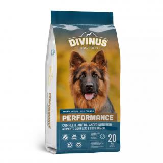 DIVINUS Performance 20kg sucha karma dla psów