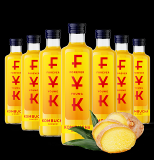 FYK Kombucha Ginger 0,25l