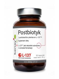 KENAY Postbiotyk Lactobacillus plantarum L-137 (60 kaps.)
