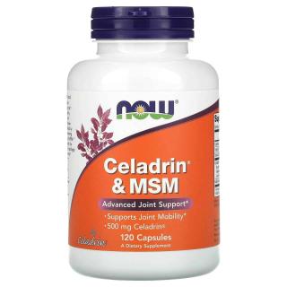 NOW FOODS Celadrin  MSM 500mg (Wsparcie stawów) 120 Kapsułek