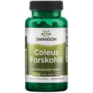 SWANSON Coleus Forskohlii (Forskolina Zioło Ajurwedyjskie) 400mg - 60 kapsułek