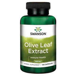 SWANSON Olive Leaf Extract (Ekstrakt z Liści Oliwnych) 500mg 120 kapsułek