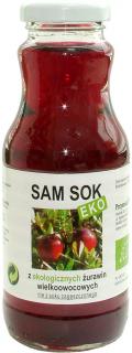 Viands sok z żurawiny wielkoowocowej nfc bio 250 ml