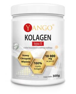 YANGO Kolagen typu II (Stawy, Chrząstki, Mięśnie) 300g