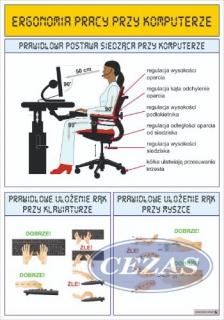 ERGONOMIA PRACY PRZY KOMPUTERZE PLANSZA  (PLA483) ERGONOMIA PRACY PRZY KOMPUTERZE PLANSZA  (PLA483)