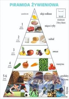 PIRAMIDA ŻYWIENIOWA PLANSZA  (PLA380) PIRAMIDA ŻYWIENIOWA PLANSZA  (PLA380)