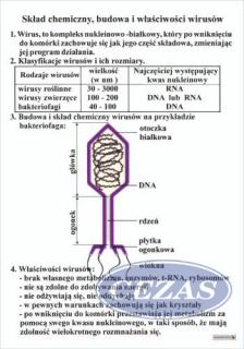 SKŁAD, BUDOWA I WŁAŚCIWOŚCI WIRUSÓW PLANSZA (PLA486) SKŁAD, BUDOWA I WŁAŚCIWOŚCI WIRUSÓW PLANSZA (PLA486)