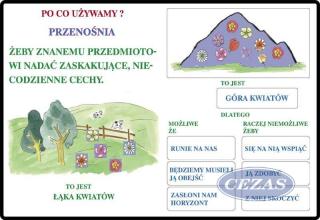 TROPY STYLISTYCZNE ZESTAW PLANSZ (PLA021) TROPY STYLISTYCZNE ZESTAW PLANSZ (PLA021)