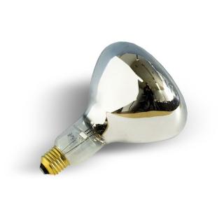 Żarówka do lampy sollux / Lumina gwint E27