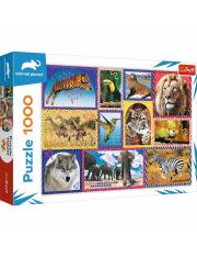 Puzzle 1000 elementów Dzika natura Animal Planet >> SZYBKA WYSYŁKA!