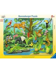 Puzzle 11 elementów Zwierzęta lasu deszczowego >> SZYBKA WYSYŁKA!