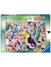 Puzzle 2D 1000 elementów Matt Sewells Wspaniałe ptaki >> SZYBKA WYSYŁKA!