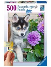 Puzzle 2D dla seniorów Śliczny Husky 500 elementów >> SZYBKA WYSYŁKA!