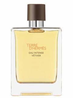 Hermes Terre D Hermes Eau Intense Vetiver EDP 100ml Flakon