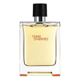Hermes Terre D Hermes Woda Toaletowa 100 ml Flakon
