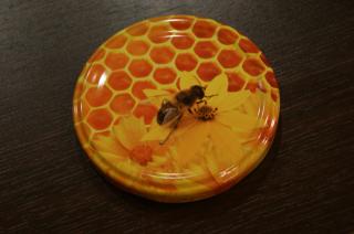 zakrętka duża (50 szt.) "pszczoła na plastrze" fi 82 mm
