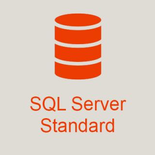 Microsoft SQL Server 2017 Standard + 100 User