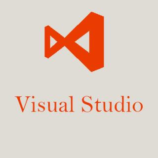 Microsoft Visual Studio Professional CSP 2022 PL
