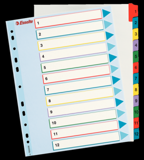 Przekładki z kartą do wielokrotnego opisu, A4 Maxi (1-12) Esselte