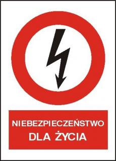 EG-tablice „Niebezpieczeństwo dla życia#8221; pionowa