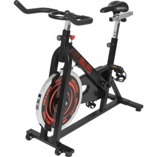 Rower spinningowy Gorilla Sports F25x50