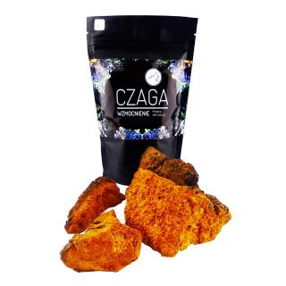 Organis Chaga / Czaga / Czarna Huba Brzozowa wzmocnienie 100g