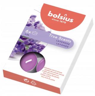 Bolsius True Scents, Lawenda, podgrzewacz 6szt,  4 godziny