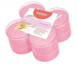 Bolsius True Scents, Magnolia, podgrzewacz maxi 8szt, 8 godzin