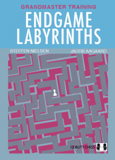 Endgame Labyrinths by Jacob Aagaard and Steffen Nielsen (twarda okładka)