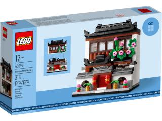 LEGO 40599 Domy Świata 4