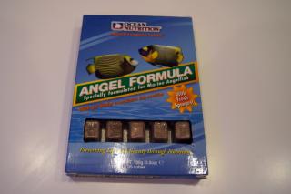 Angel Formula 100g (dla ryb ustnikowatych)