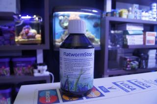 Flatwormstop 250 ml (Dobra Cena Bez Rabatu)