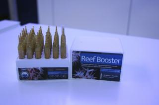 Prodibio Reef Booster 1 ampułka (Dobra Cena Bez Rabatu)