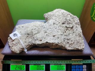 Sucha skała 2,465 kg (40 pln/kg) NR 10 FIJI SHELF WALTSMITH