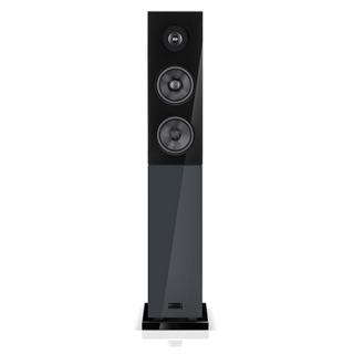 AUDIO PHYSIC CLASSIC 15 Anthrazit