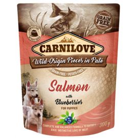 Carnilove Dog Salmon  Blueberries for Puppies - łosoś i jagody saszetka 300g