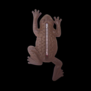 Termometr zewnętrzny żaba