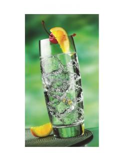 Szklanka wysoka 290 ml ENDESSA - LIBBEY