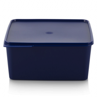 ​Tupperware Quatro - Pojemnik Do Przechowywania Żywności i Zabawek 5L